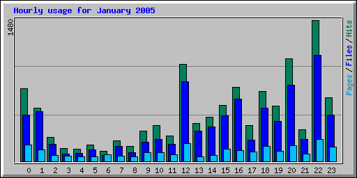 Hourly usage for January 2005