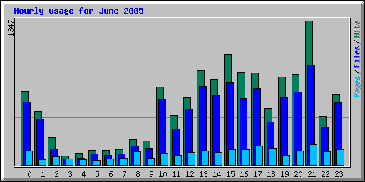 Hourly usage for June 2005