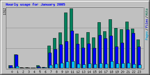 Hourly usage for January 2005