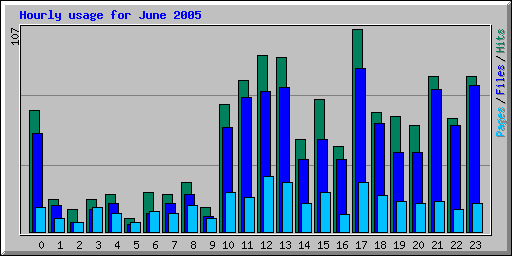 Hourly usage for June 2005