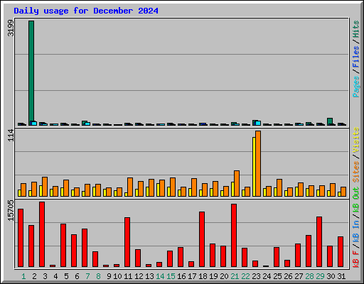 Daily usage for December 2024