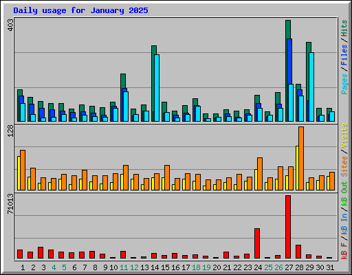 Daily usage for January 2025