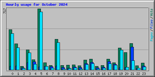 Hourly usage for October 2024
