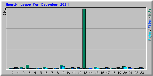 Hourly usage for December 2024