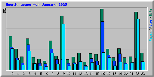 Hourly usage for January 2025