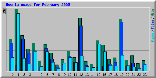 Hourly usage for February 2025
