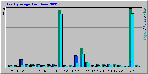 Hourly usage for June 2025