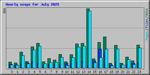 Hourly usage for July 2025