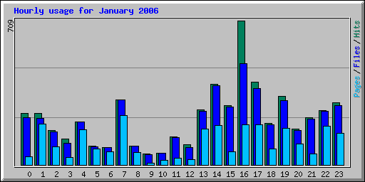 Hourly usage for January 2006