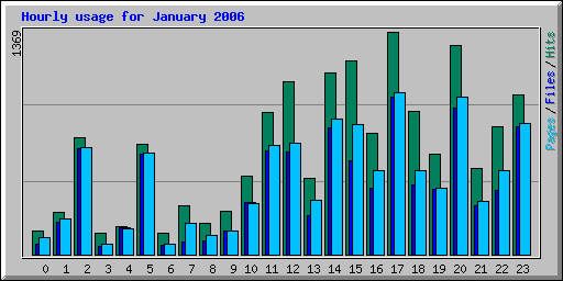 Hourly usage for January 2006