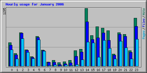 Hourly usage for January 2006