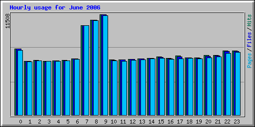 Hourly usage for June 2006