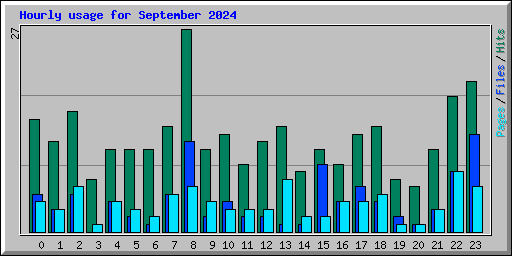 Hourly usage for September 2024