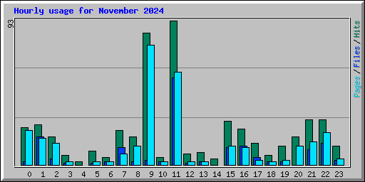 Hourly usage for November 2024