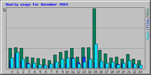 Hourly usage for December 2024