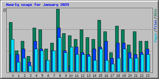 Hourly usage for January 2025