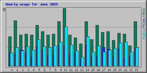 Hourly usage for June 2025