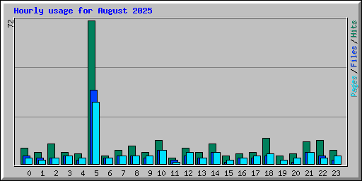 Hourly usage for August 2025