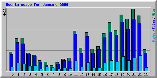 Hourly usage for January 2006