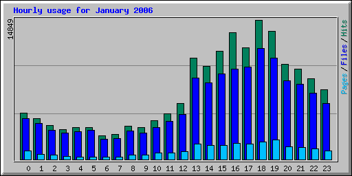 Hourly usage for January 2006
