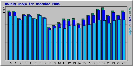Hourly usage for December 2005