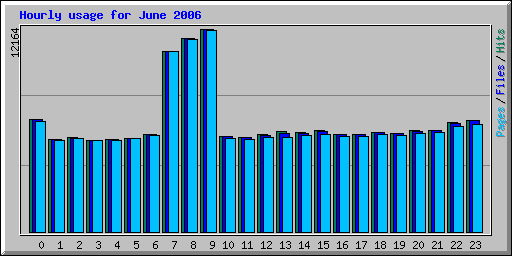Hourly usage for June 2006