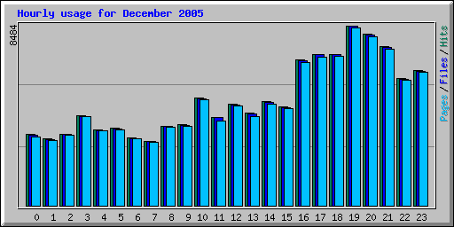 Hourly usage for December 2005
