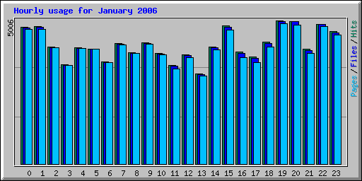 Hourly usage for January 2006
