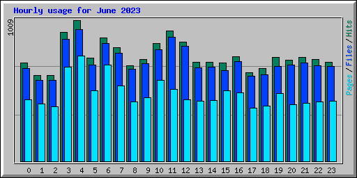 Hourly usage for June 2023